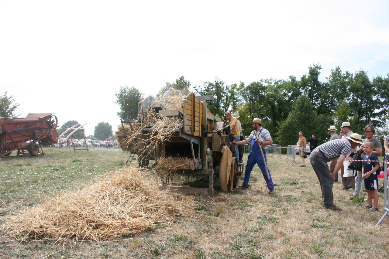 PHOTOS. Blain plus de 8 000 personnes à la Fête du pain de SaintOmer