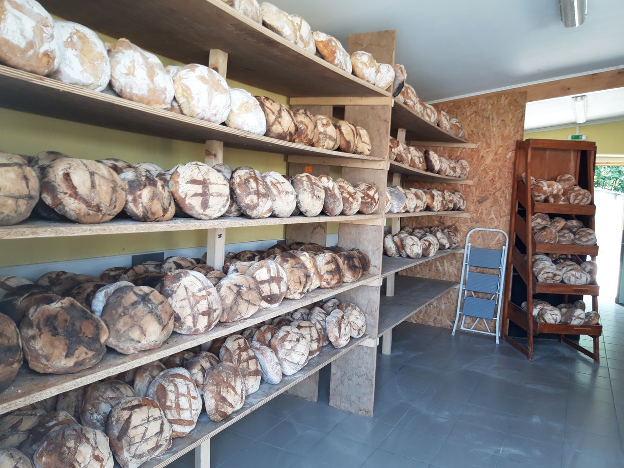 PHOTOS. Blain plus de 8 000 personnes à la Fête du pain de SaintOmer