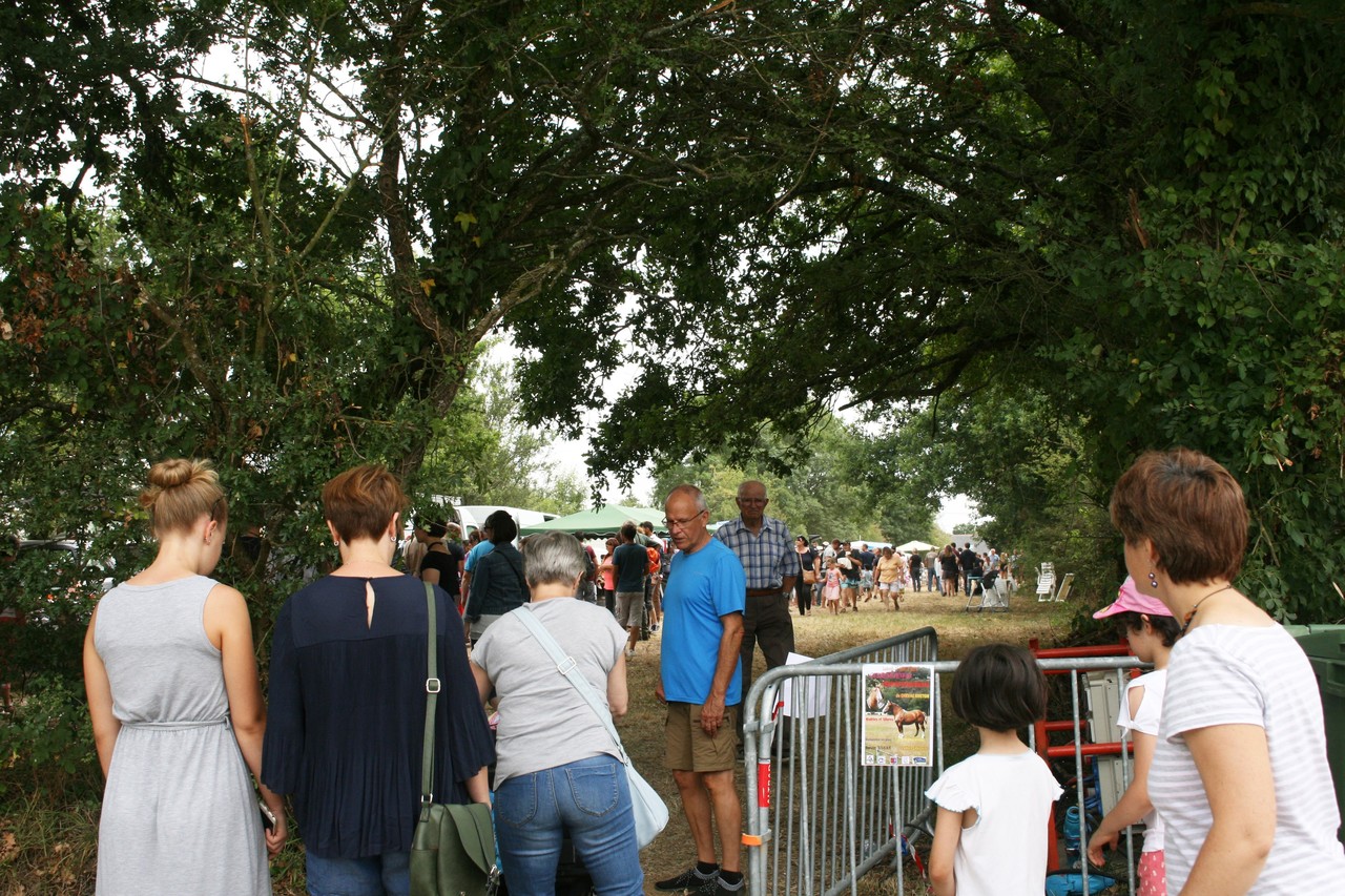 PHOTOS. Blain plus de 8 000 personnes à la Fête du pain de SaintOmer