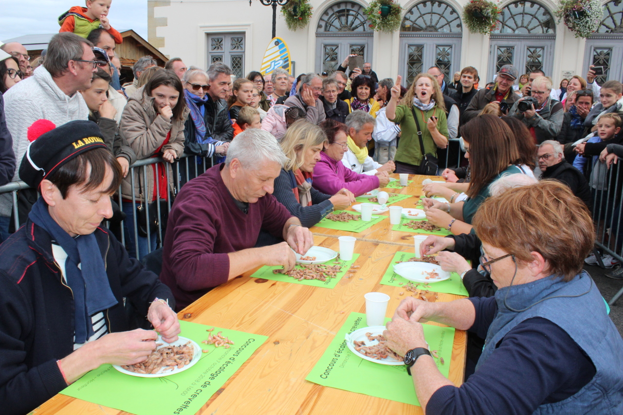 Honfleur la fête de la crevette 2020 est annulée Le Pays d'Auge