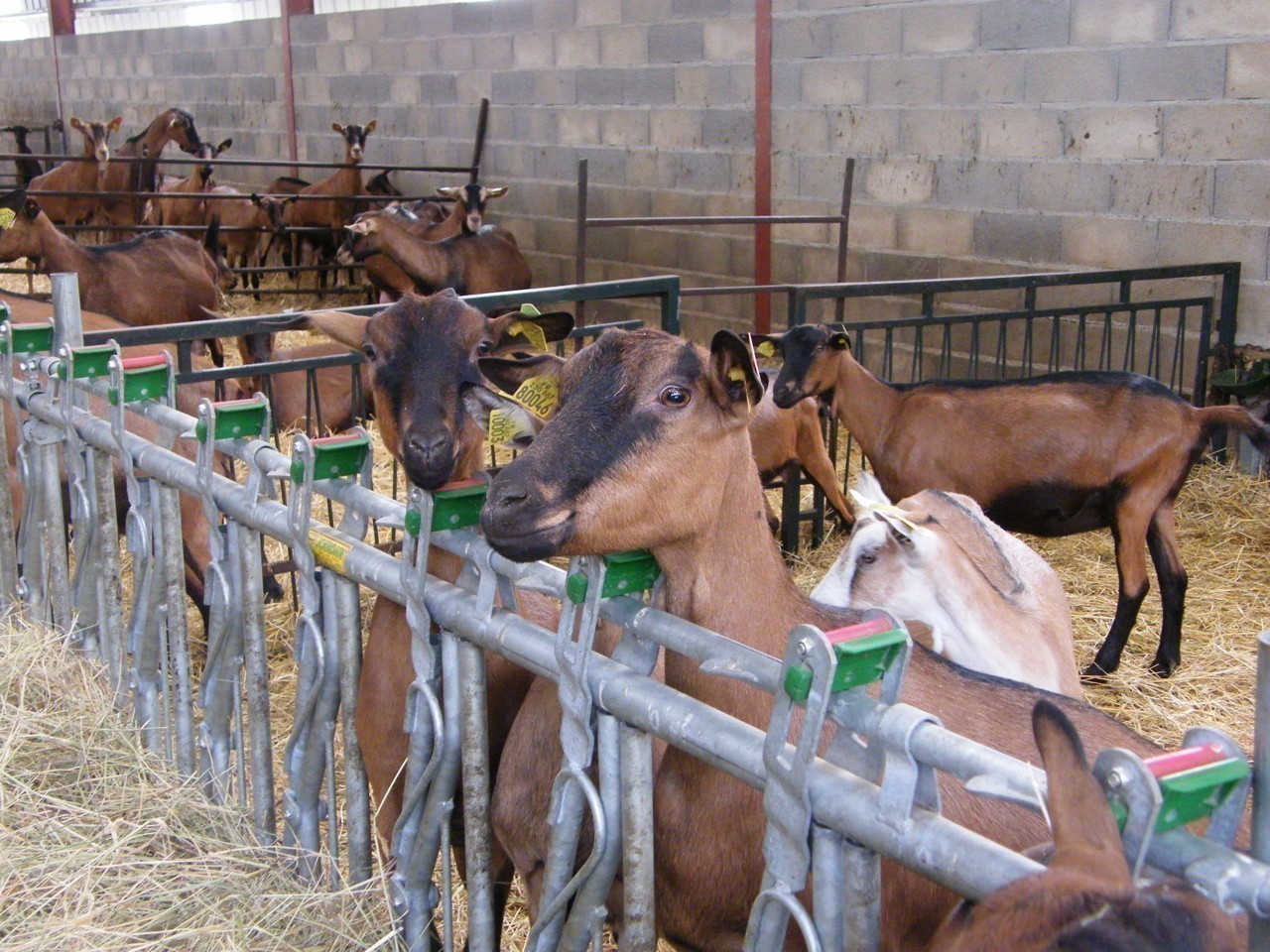 replay france 3 aquitaine