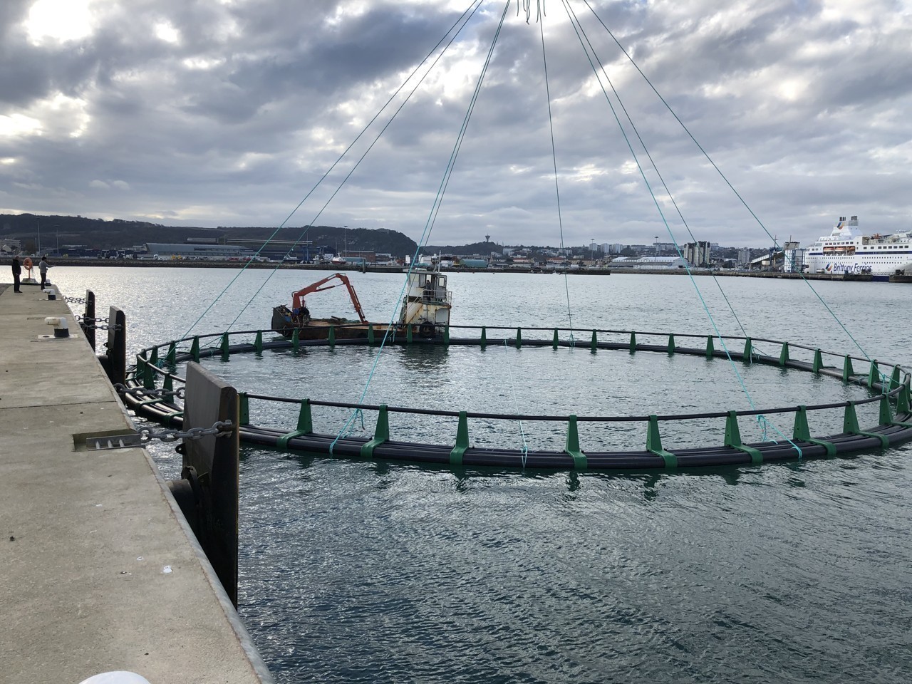 Saumon de France 600 000 euros investis dans de nouvelles cages à Cherbourg