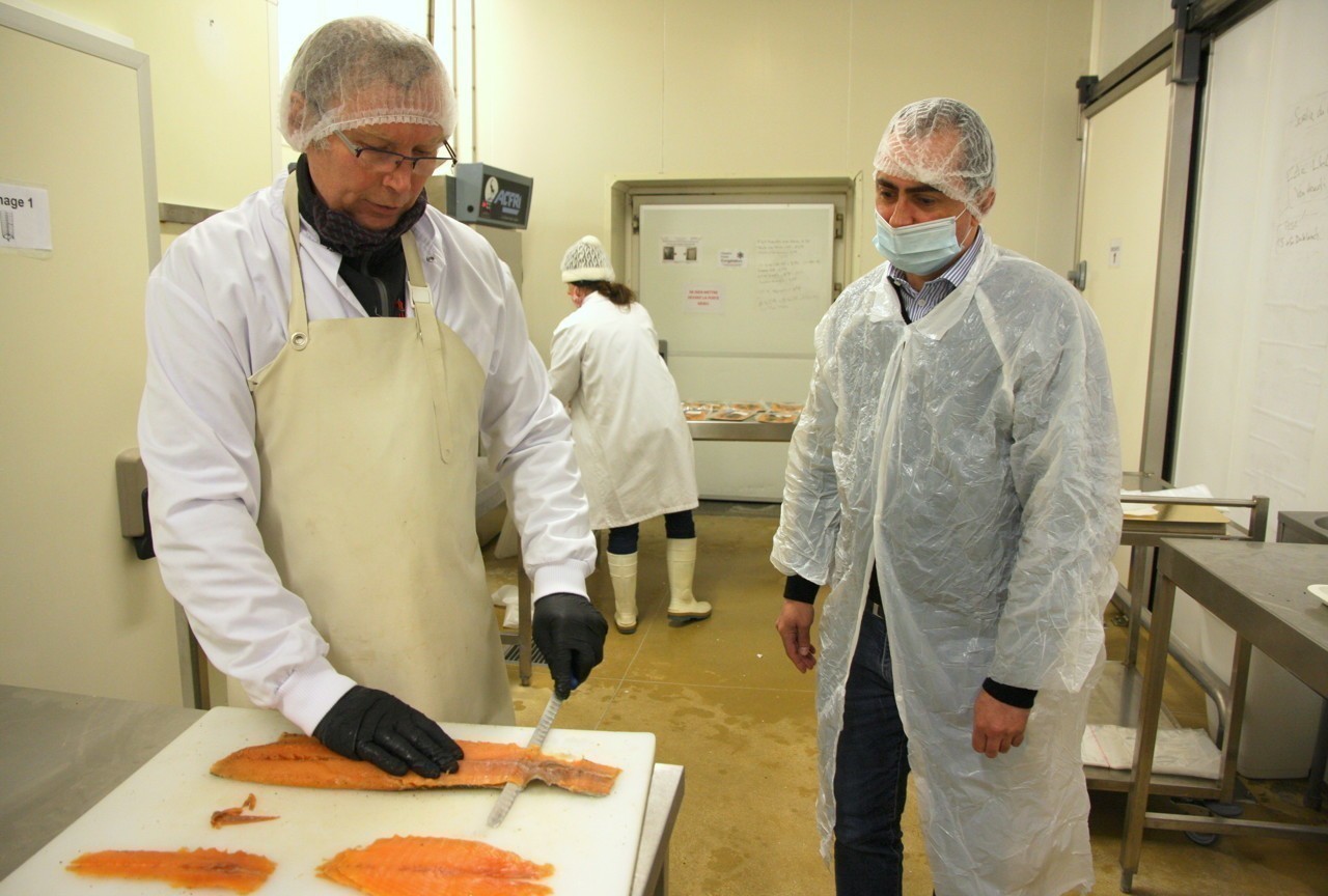 Saumon de France à Cherbourg pour vos assiettes de fêtes, tout est bon dans le poisson