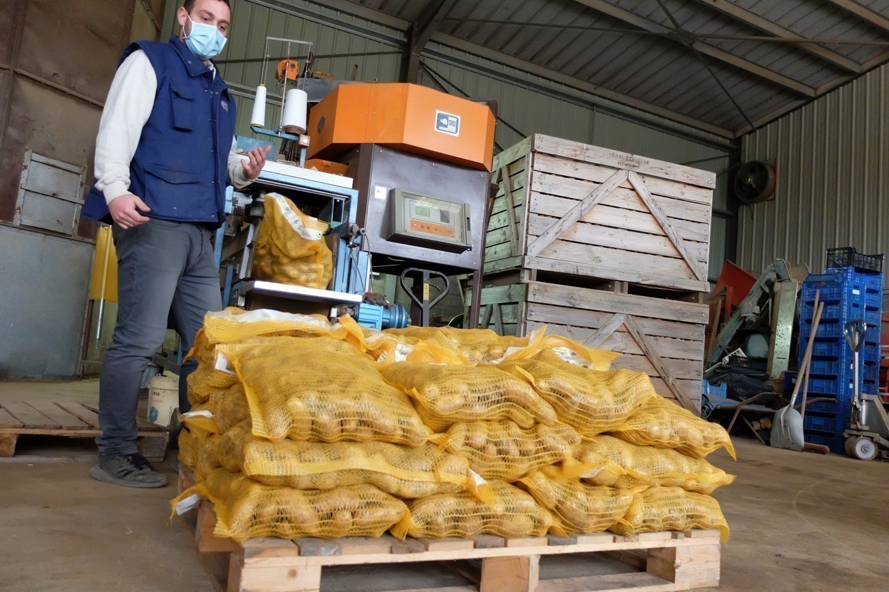 Vente De Pommes De Terre À La Ferme, Gaec Mazeron Landogne, PuyDe