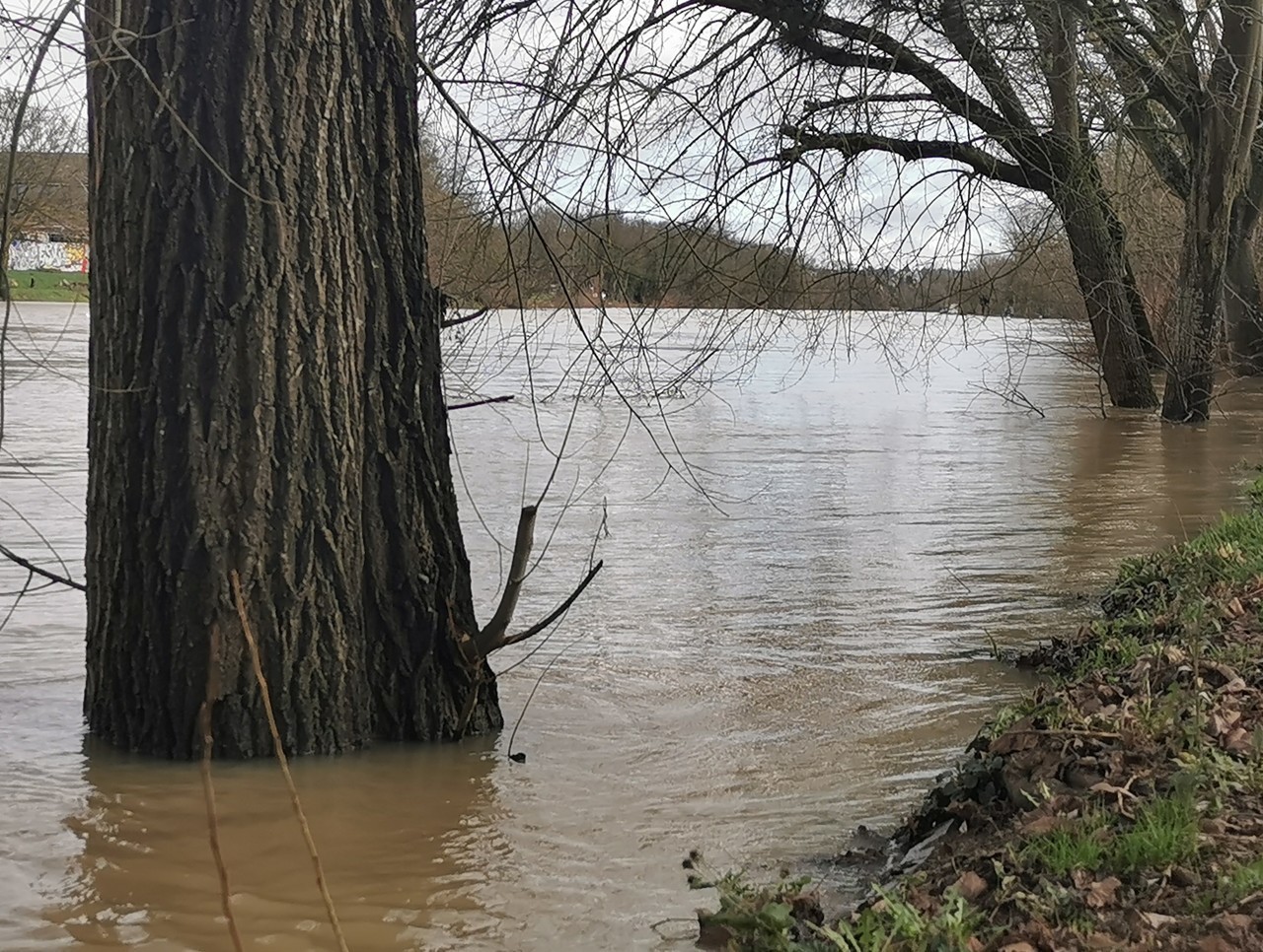 meaux gt lafertésousjouarre meaux gt laferté Marne et Morin