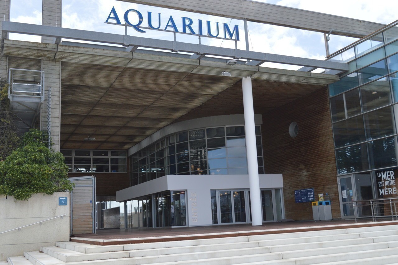 La Rochelle pour sa réouverture, L'Aquarium fait le plein de nouveautés