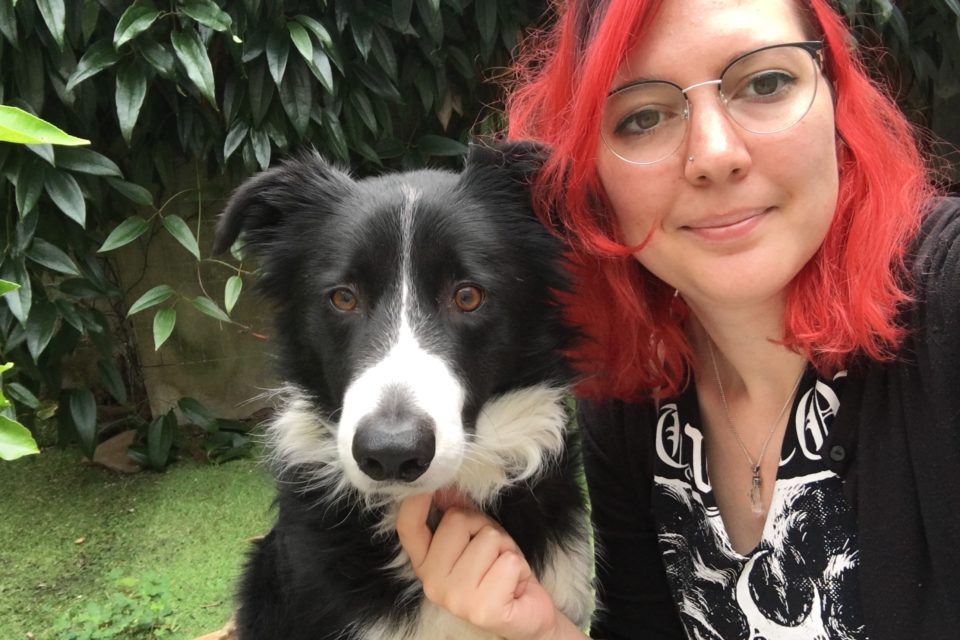 LoireAtlantique le petsitting, activité en plein boom pendant l'été