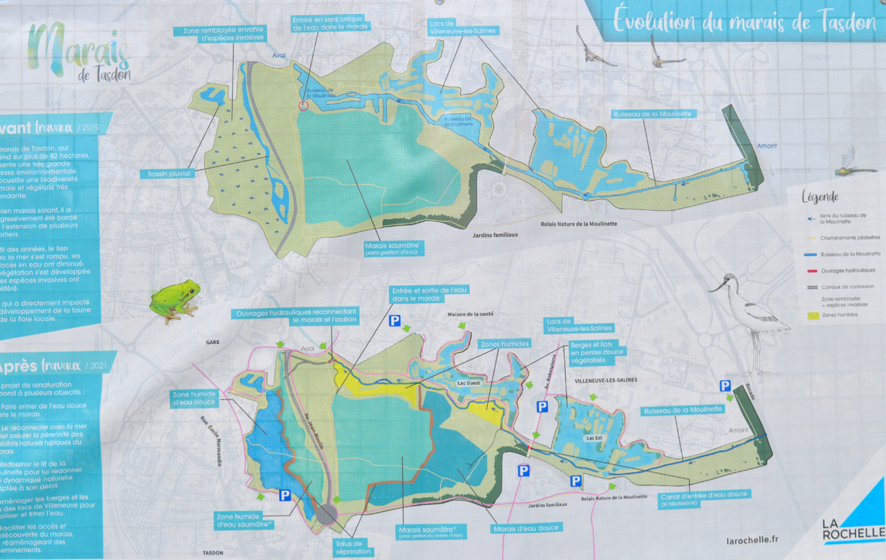 Quartier Tasdon La Rochelle Plan La Rochelle après 20 mois de travaux, le Marais de Tasdon reprend vie