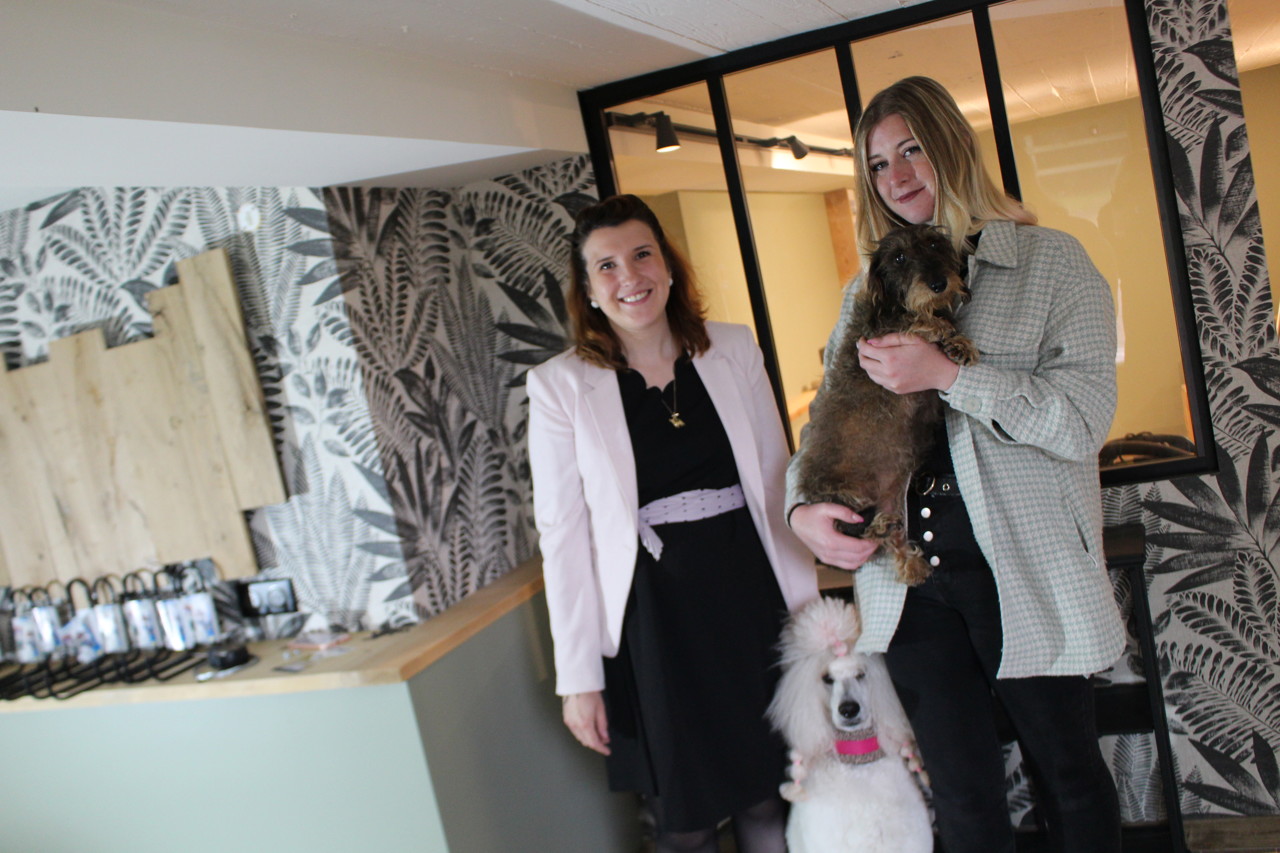 Après SaintArnoult, le salon de toilettage L'Atelier d'Emilie s