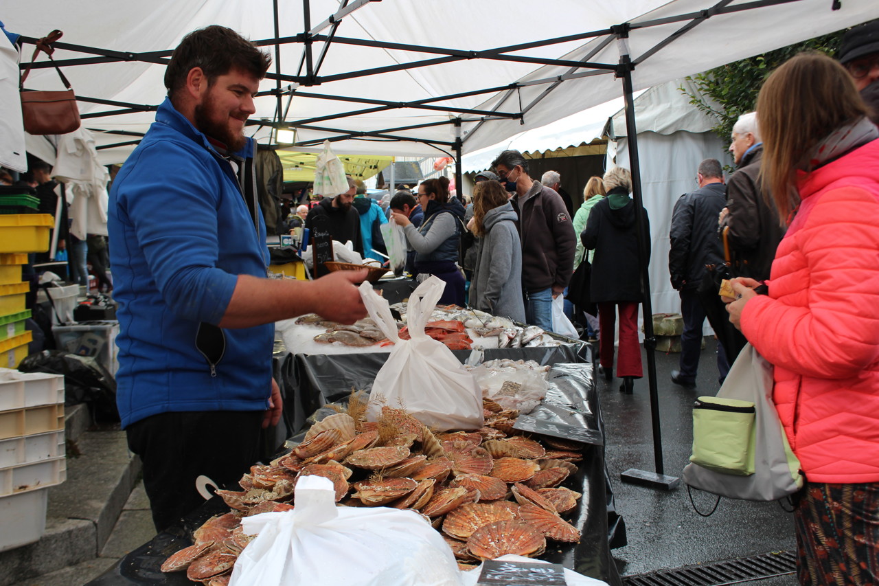 fête de la coquille villers sur mer 2023 En Images. La Foule Pour La Coquille Saint-Jacques, Reine De La Fête Tout Le Week-End À Villers-Sur-Mer | Le Pays D'auge