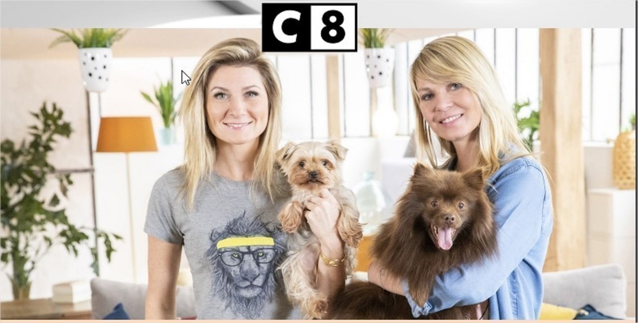 Plaisir les coulisses du refuge SPA à découvrir ce dimanche sur C8