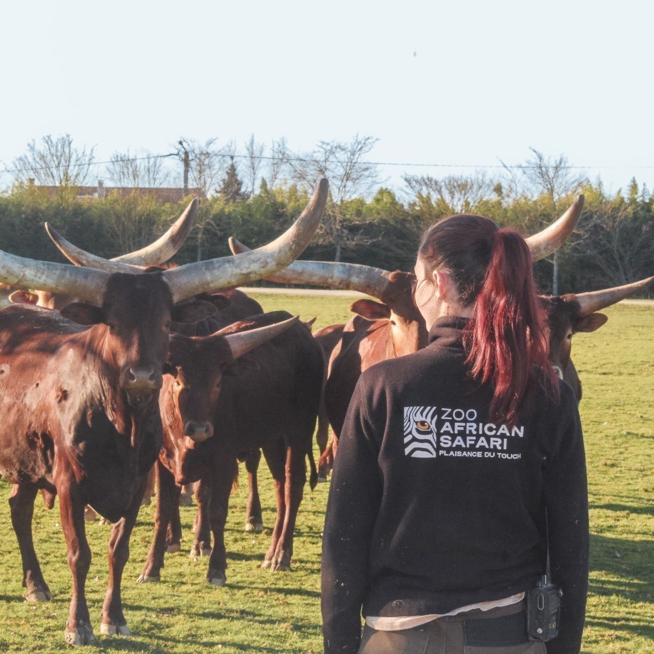 Près de Toulouse. Une journée porte ouverte pour découvrir les métiers