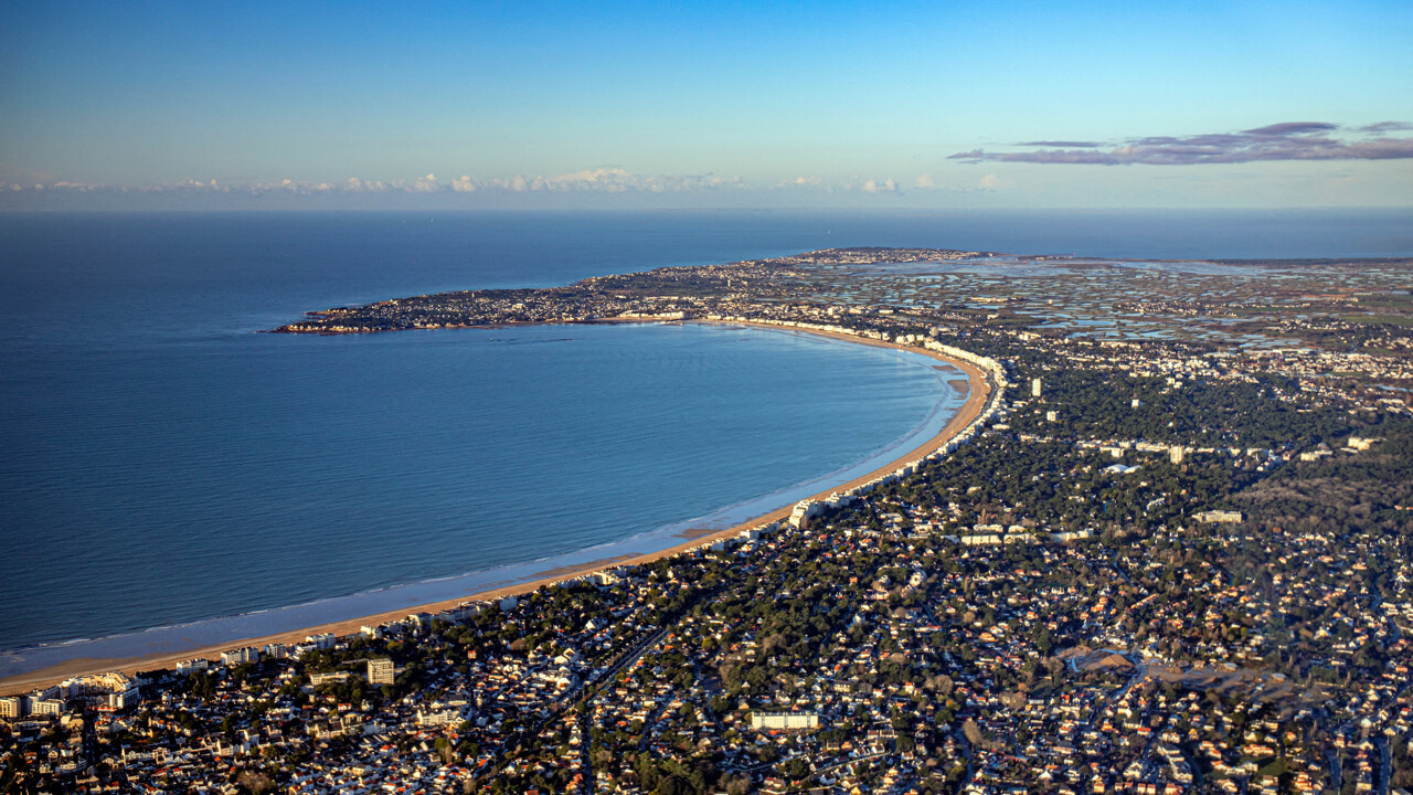 La Baule elle doit payer des milliers d'euros de travaux à cause du pin de son voisin