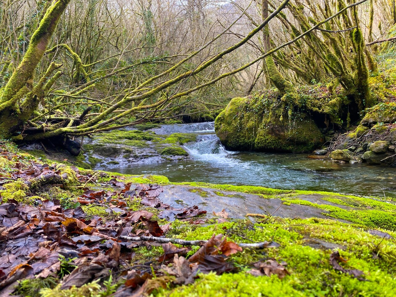 Pyrénées. Connaissezvous la rivière de la Génie Longue ? Un véritable