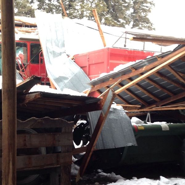 Recordhigh snowfalls cause over a dozen barn collapses in central Alta
