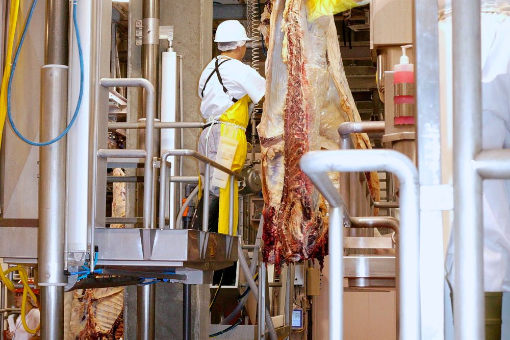 RCALF suit alleges U.S. packers conspired to suppress fed cattle