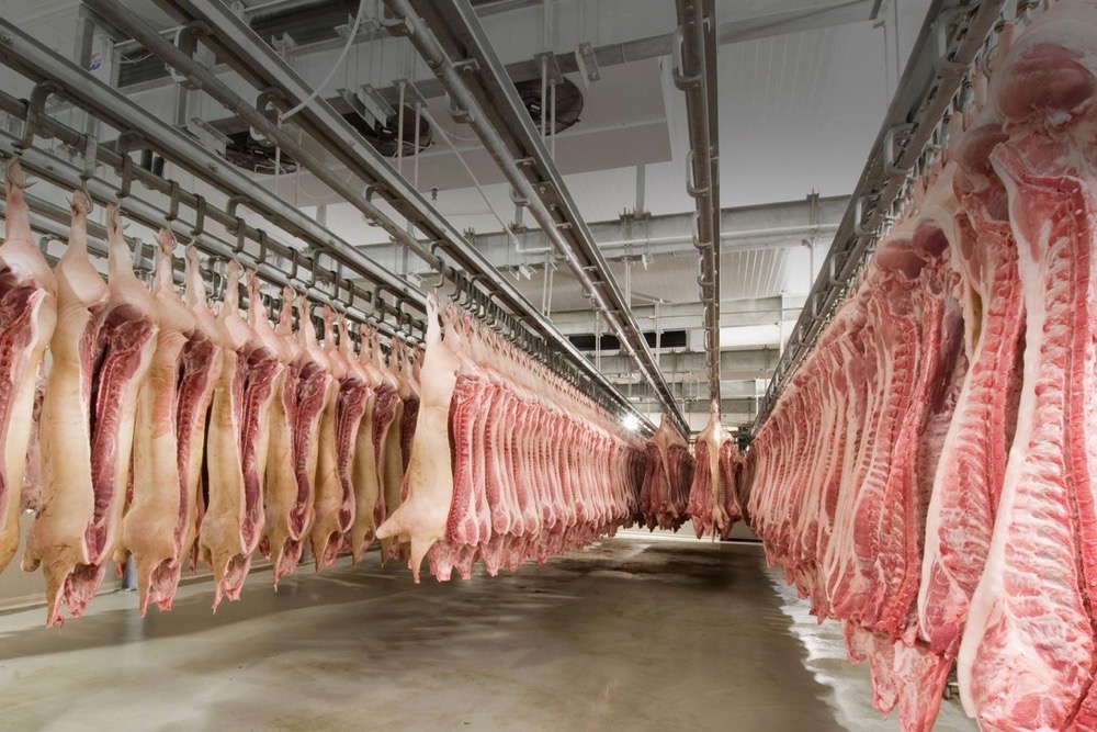 Slaughter resumes at Olymel hog plant AGCanada AGCanada