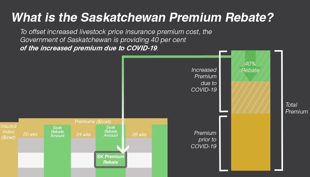 Saskatchewan extends WLPIP premium rebate if needed AGCanada AGCanada