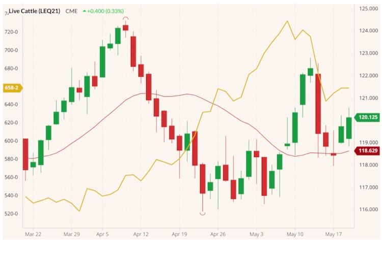U.S. livestock Cattle, hog futures up with cash markets AGCanada