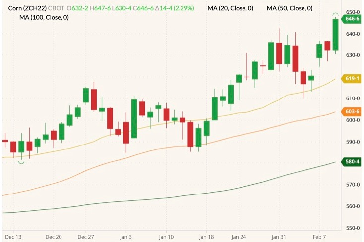 U.S. grains Corn, soy futures set eightmonth highs