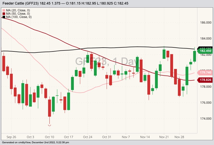 U.S. livestock CME feeder, live cattle firm as trade eyes supplies