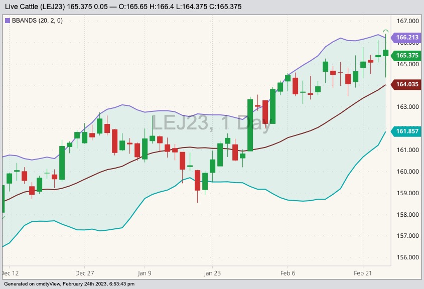 U.S. livestock CME live cattle consolidate after hitting new contract