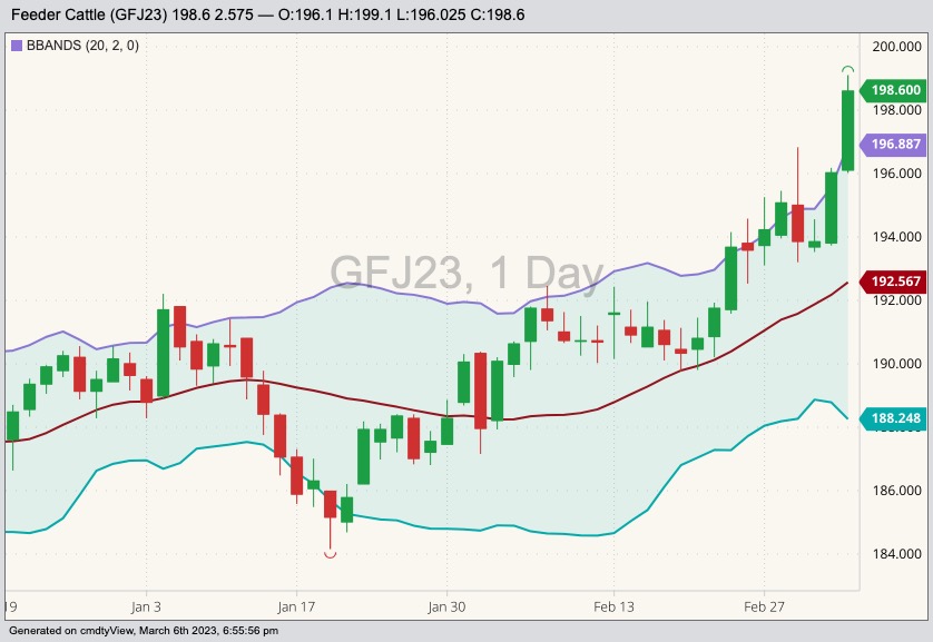 U.S. livestock CME feeder cattle set contract high on tightening