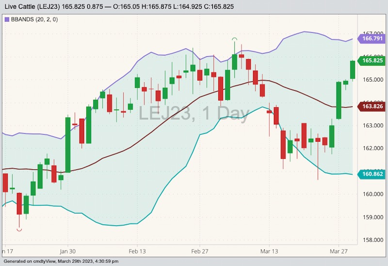 U.S. livestock CME live cattle hit threeweek peak on tightening U.S