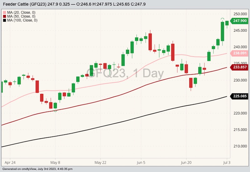 U.S. livestock CME feeder cattle firm on choppy corn trade AGCanada