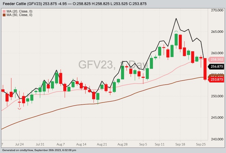 U.S. livestock CME feeder cattle dip to threeweek low AGCanada