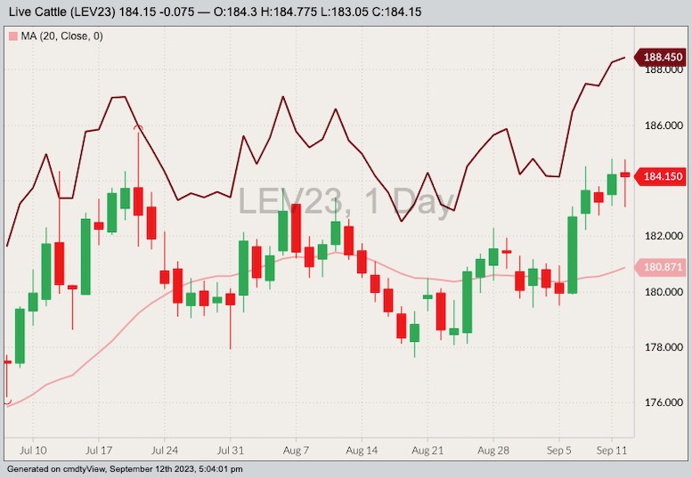 U.S. livestock CME cattle futures end mixed after hitting new highs