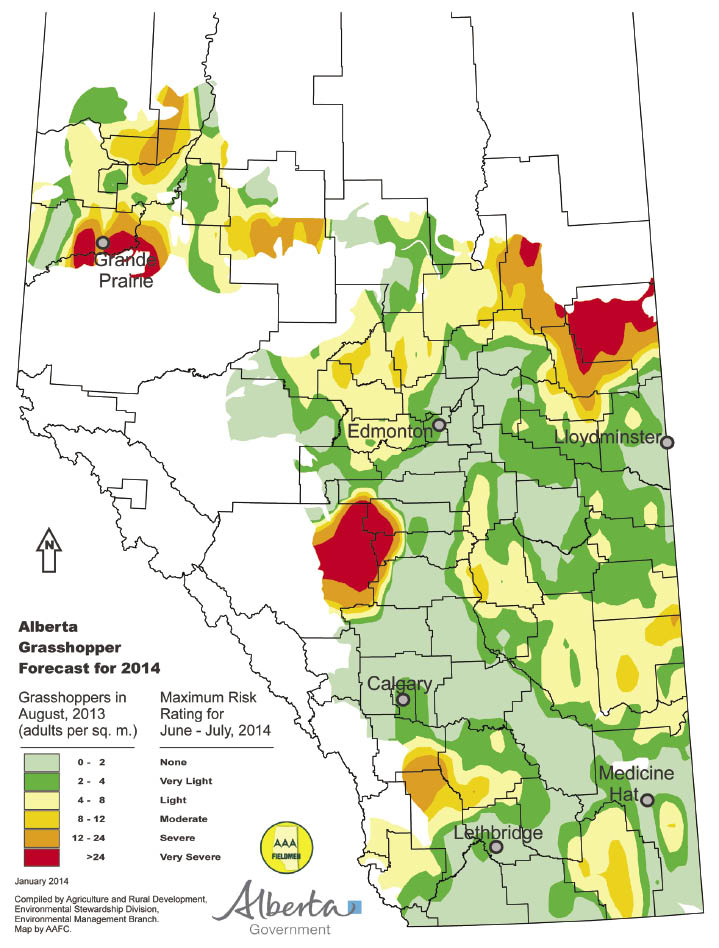 Getting those Grainews