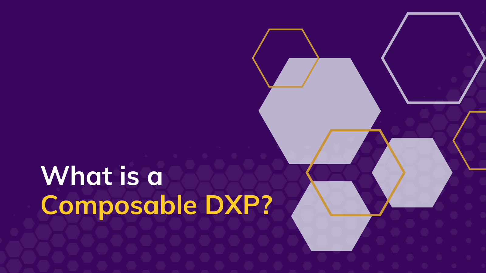 What Is a Composable DXP Agility CMS