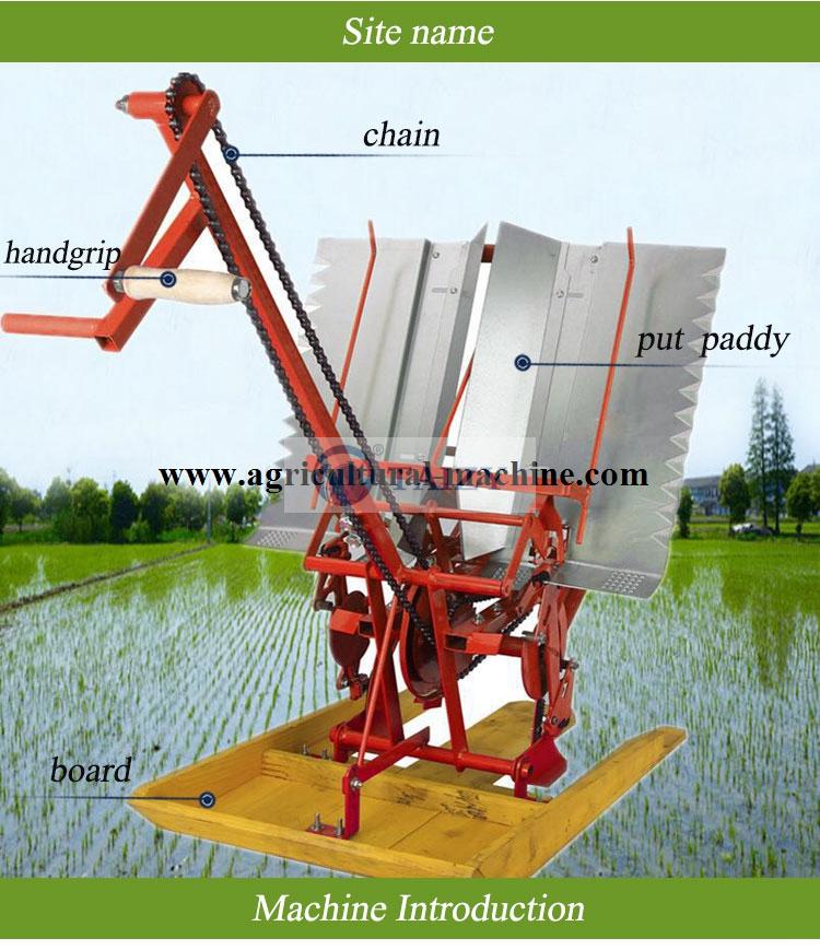 Efficient 2 Row Rice Transplanter Machine With Good Price