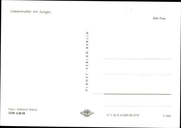 Ak Löwenmutter mit Jungen 2464322 eBay