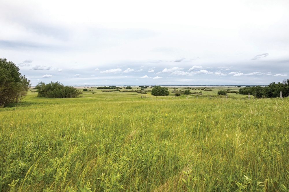Donation preserves central Alberta wetlands and grasslands Alberta