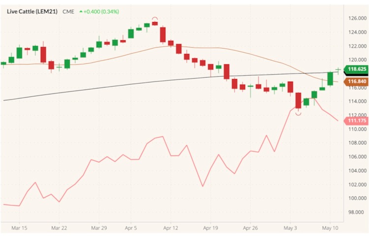 U.S. livestock CME live cattle extend rally as beef prices climb