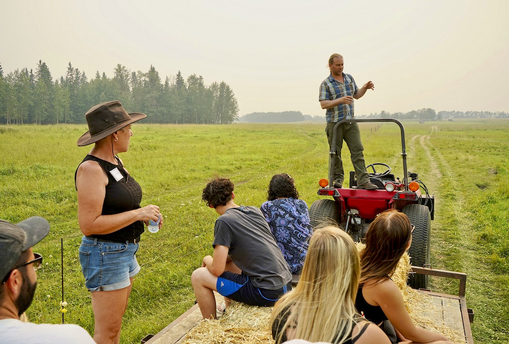 A classic scene from Alberta Open Farm Days Alberta Farmer Express