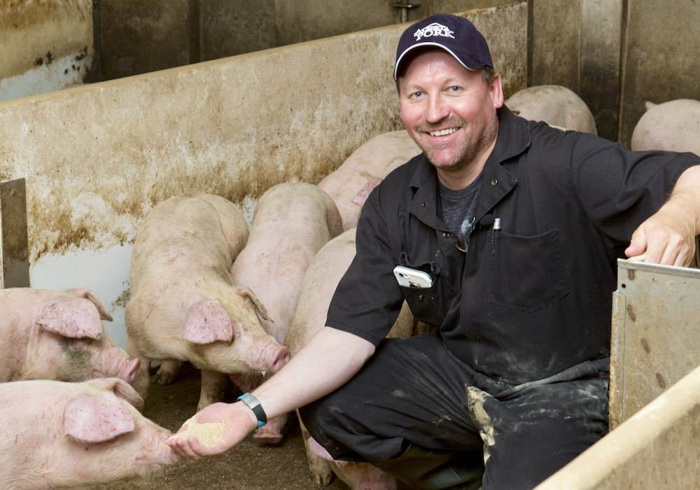 Slammed by a huge jump in costs, pork producers are ‘just hanging on