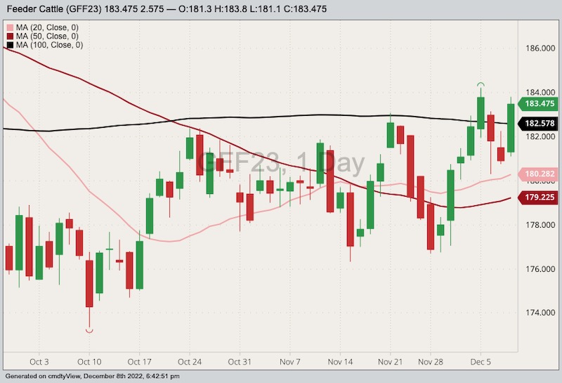 U.S. livestock Cattle futures firm despite softer cash cattle