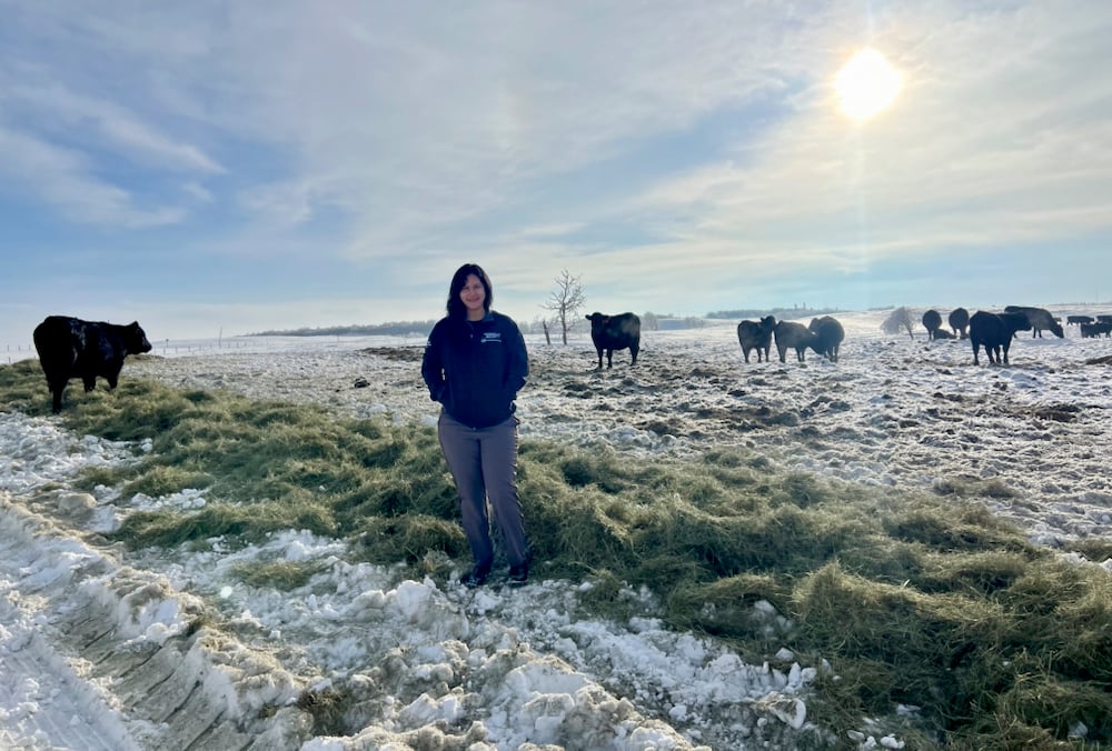 Are feedefficient cattle the best bet for climate change? Alberta