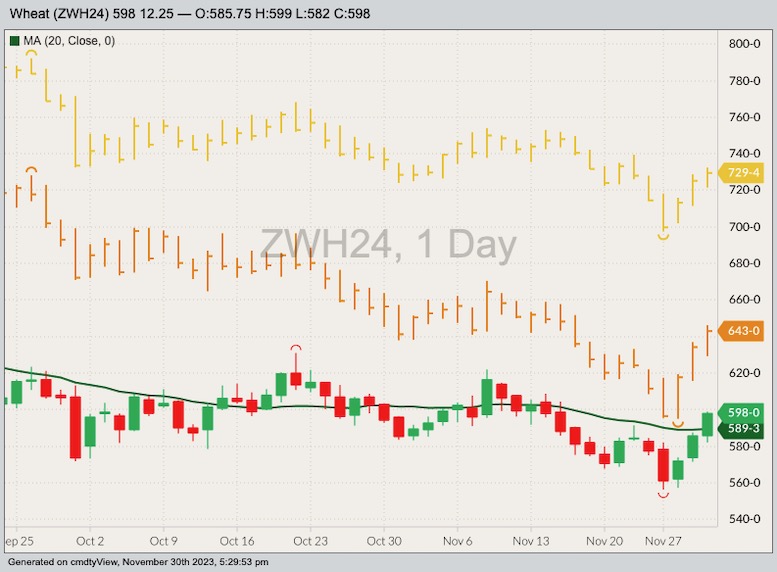 U.S. grains Chicago wheat, corn rally as export sales top forecasts