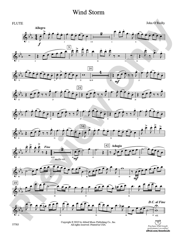 Wind Storm Flute Flute Part Digital Sheet Music Download