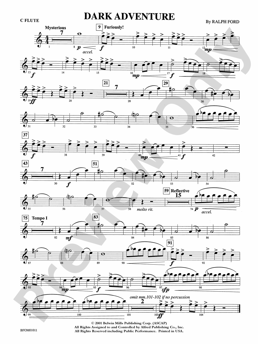 Dark Adventure Flute Flute Part Digital Sheet Music Download
