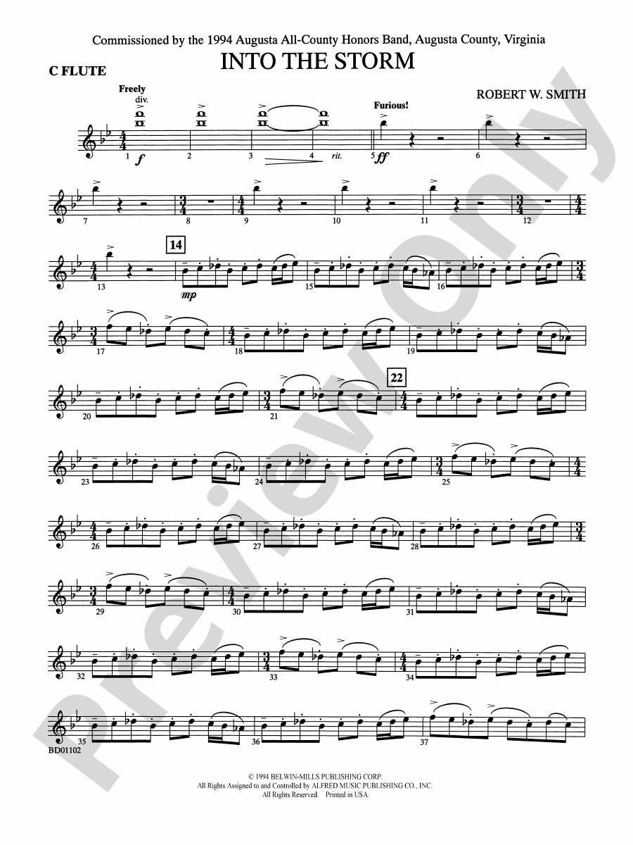Into the Storm Flute Flute Part Digital Sheet Music Download