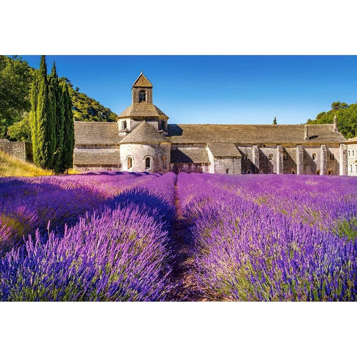 Puzzle 1000 pièces Champ de lavande en provence, France Castorland