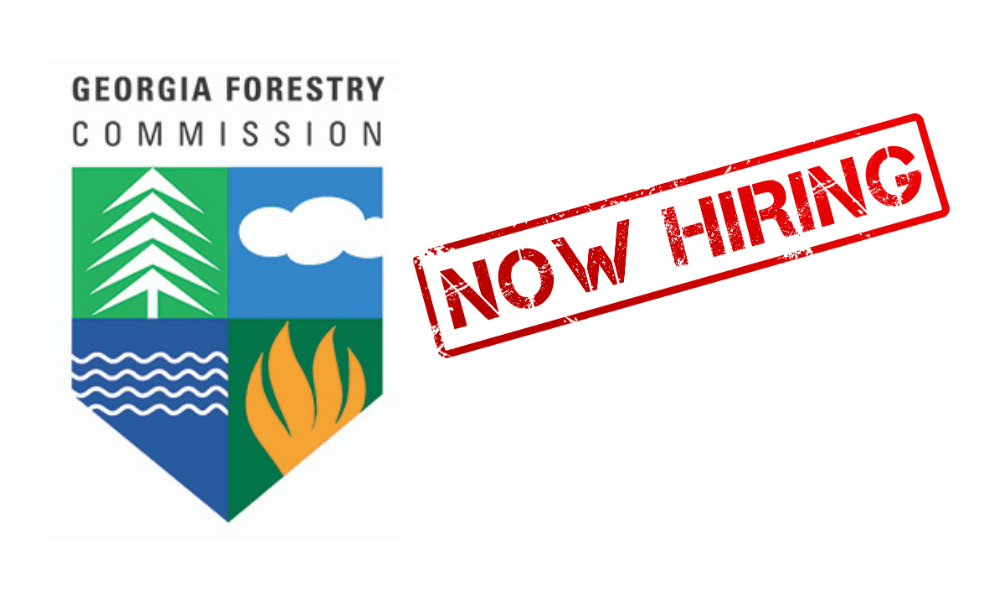 Forestry Commission Job Opening for Wildland Firefighter/Ranger (ChattoogaFloyd