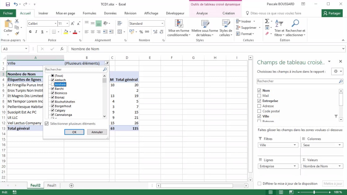 MEILLEUR TUTO GRATUIT EXCEL 2016 Niveau Expert 2/2 Filtrer un tableau croisé dynamique