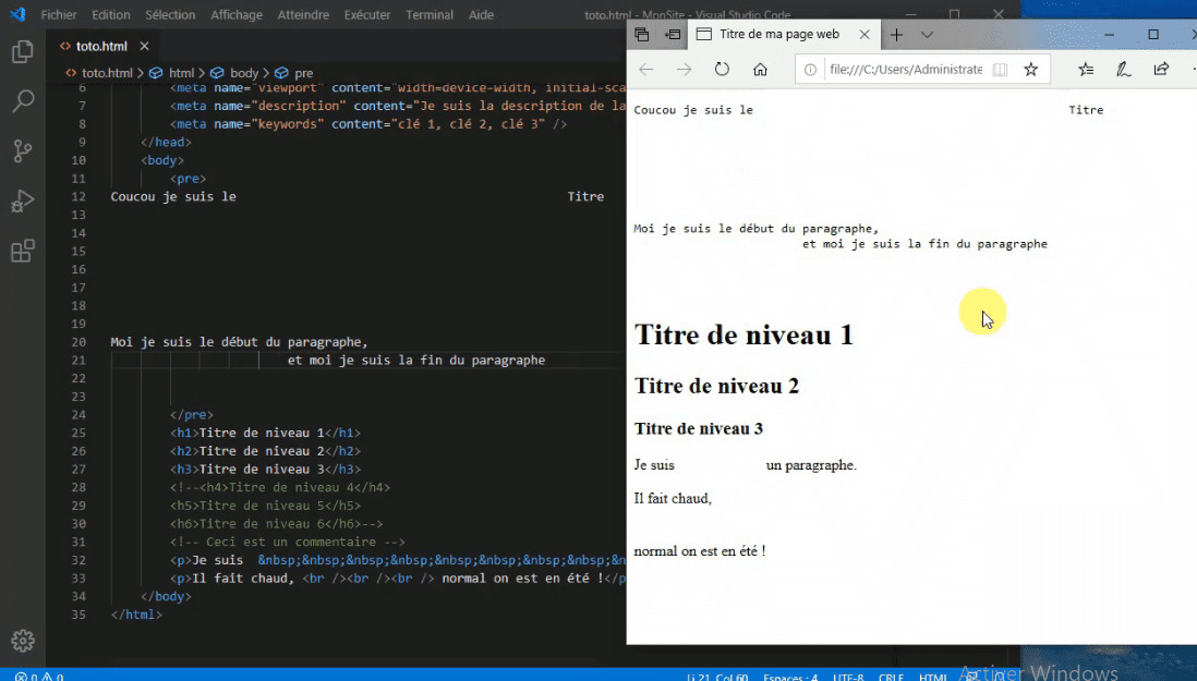 MEILLEUR TUTO GRATUIT HTML et CSS Le Guide du Débutant Restitution du