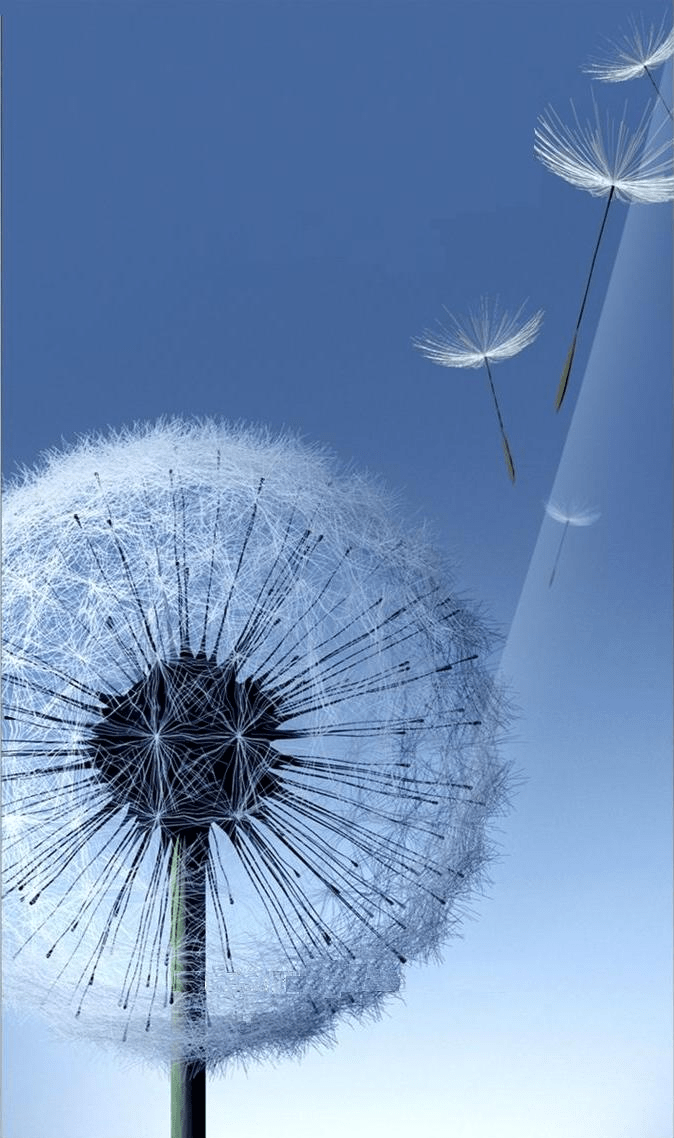 Samsung Galaxy S III disponibile lo sfondo Dandelion [UPDATE tutti i